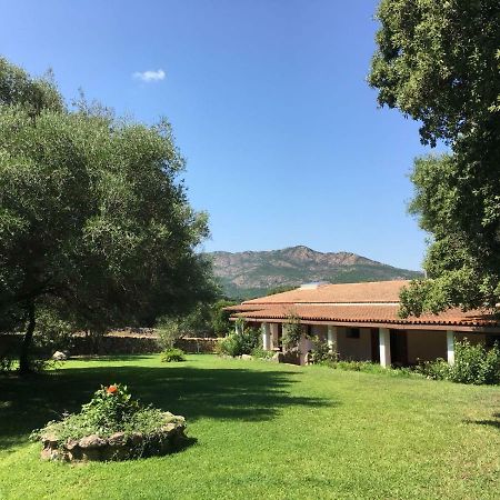 Agriturismo Su Pirastru Sa Castanza Εξωτερικό φωτογραφία