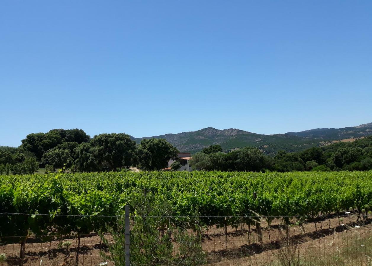 Agriturismo Su Pirastru Sa Castanza Εξωτερικό φωτογραφία